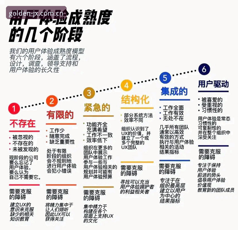金喜体育平台全面解析：从功能架构到用户体验的深度分析