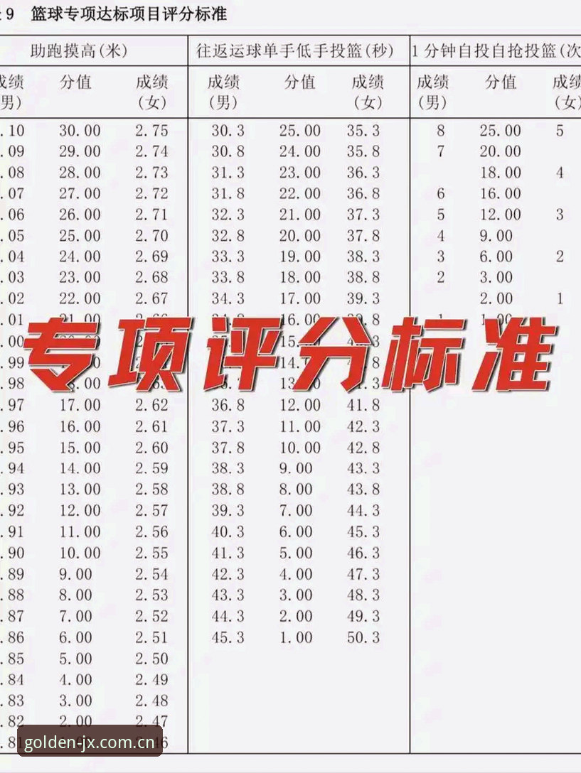 金喜体育数据查询说明：专业体育资讯平台的详细评测